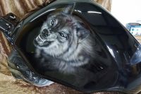 christian poncet, aérographe, moto, peinture, personnalisée, custom, harley, bobber, chopper, décoration, motard,vmax 1700, yamaha